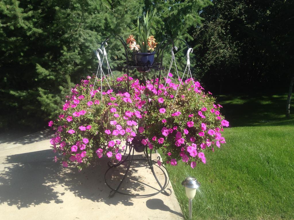 Eagle'S Nest B&B Lake Country Екстер'єр фото