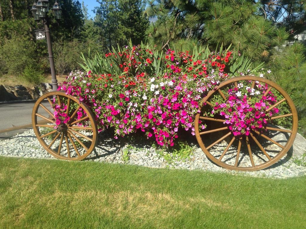 Eagle'S Nest B&B Lake Country Екстер'єр фото