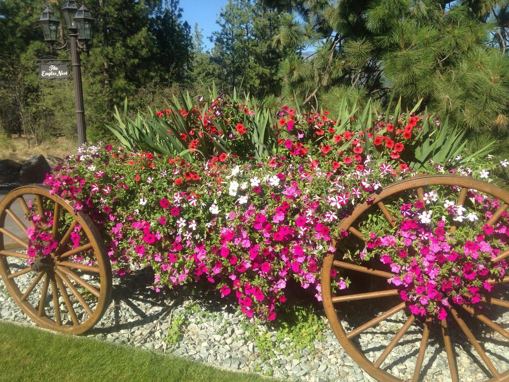 Eagle'S Nest B&B Lake Country Екстер'єр фото