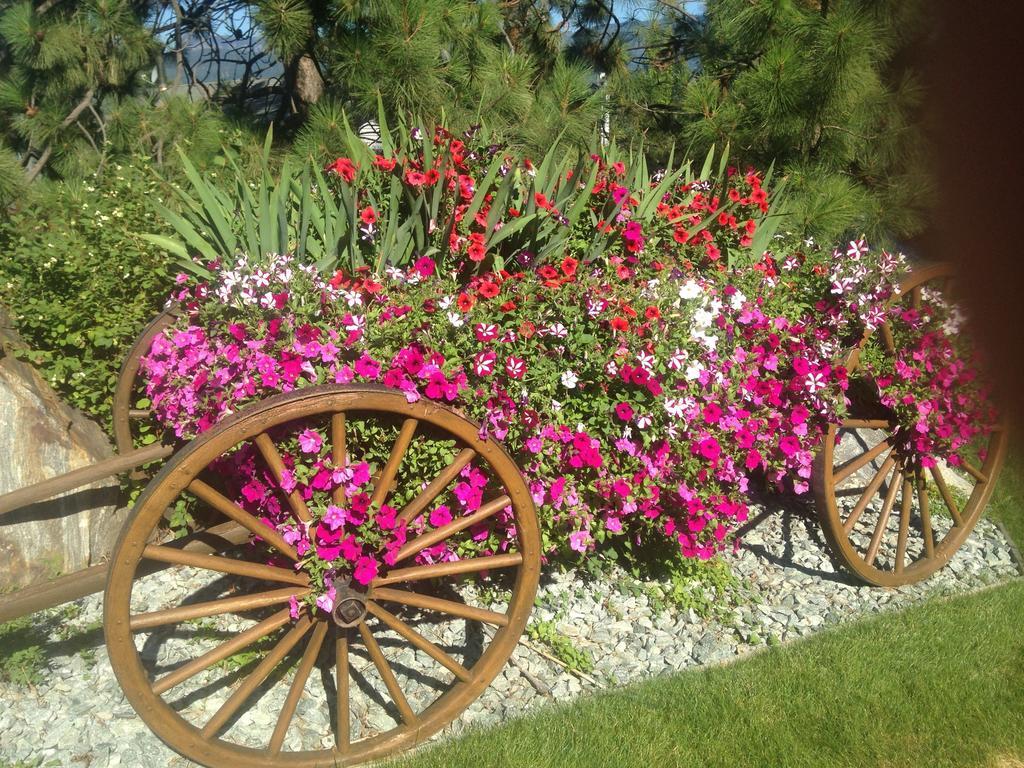 Eagle'S Nest B&B Lake Country Екстер'єр фото