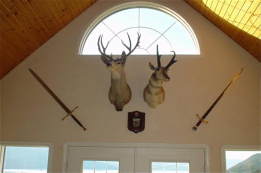 Eagle'S Nest B&B Lake Country Екстер'єр фото