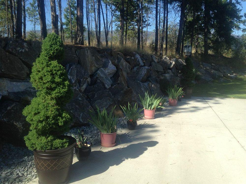 Eagle'S Nest B&B Lake Country Екстер'єр фото
