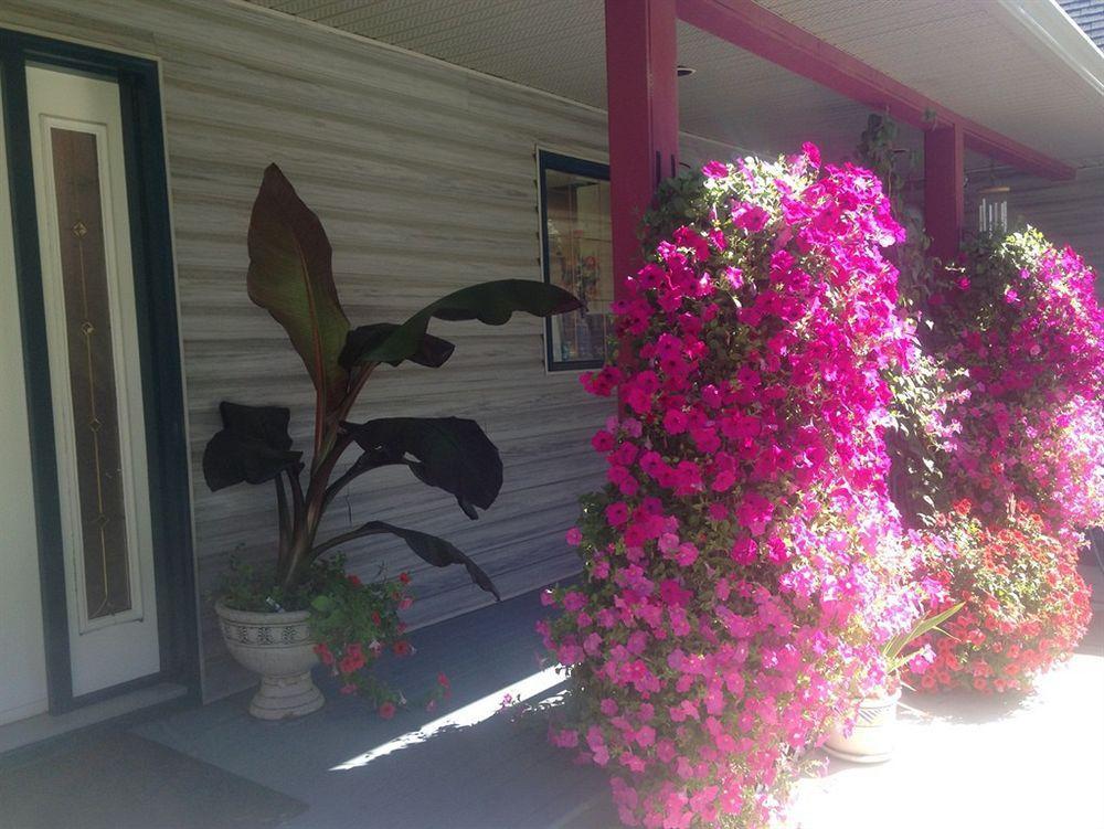 Eagle'S Nest B&B Lake Country Екстер'єр фото